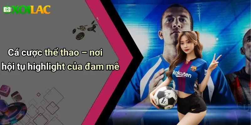 Cá cược thể thao – nơi hội tụ highlight của đam mê