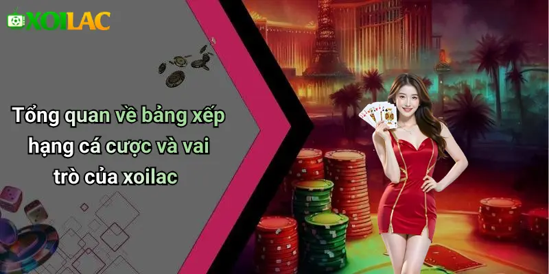 Tổng quan về bảng xếp hạng cá cược và vai trò của xoilac