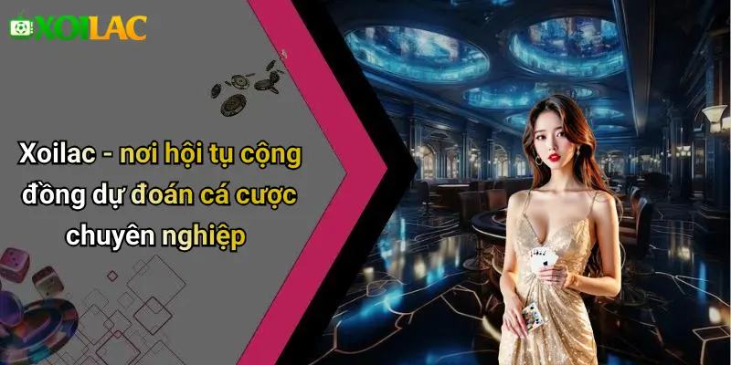 Xoilac - nơi hội tụ cộng đồng dự đoán cá cược chuyên nghiệp