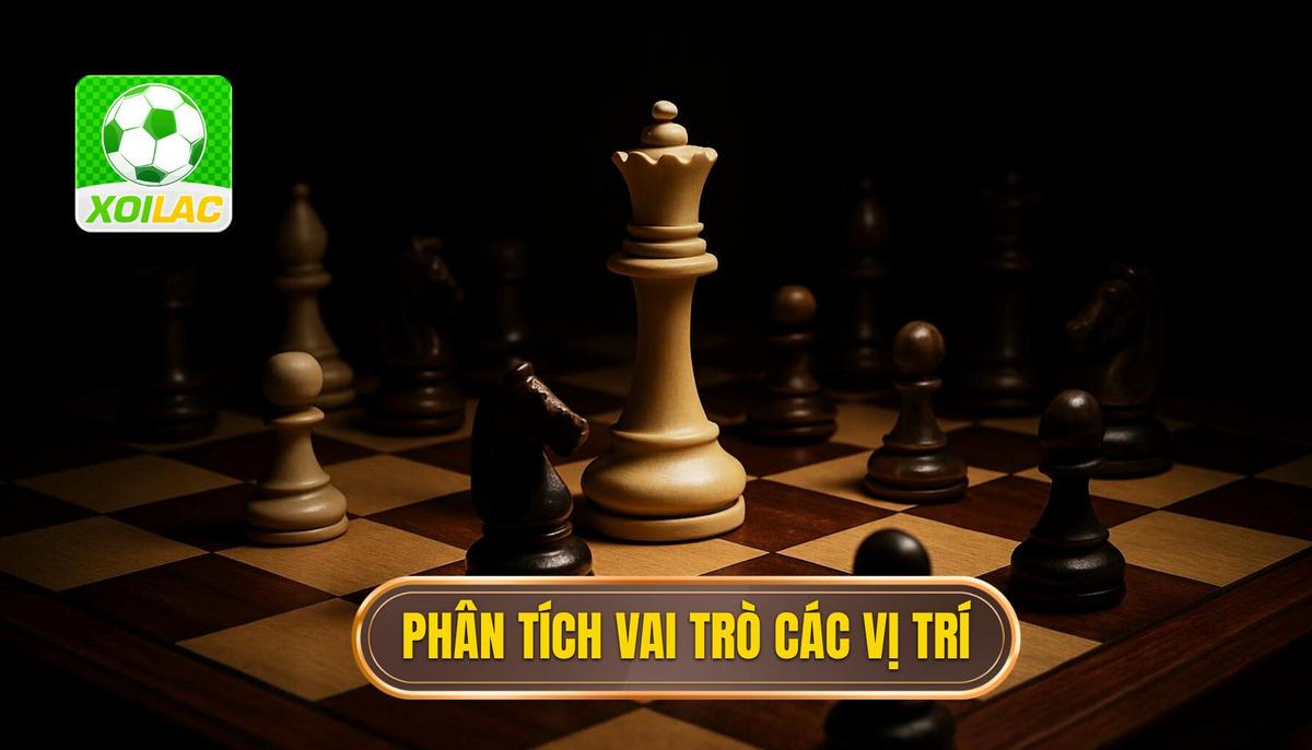Phân Tích Chuyên Sâu Vai Trò Từng Vị Trí