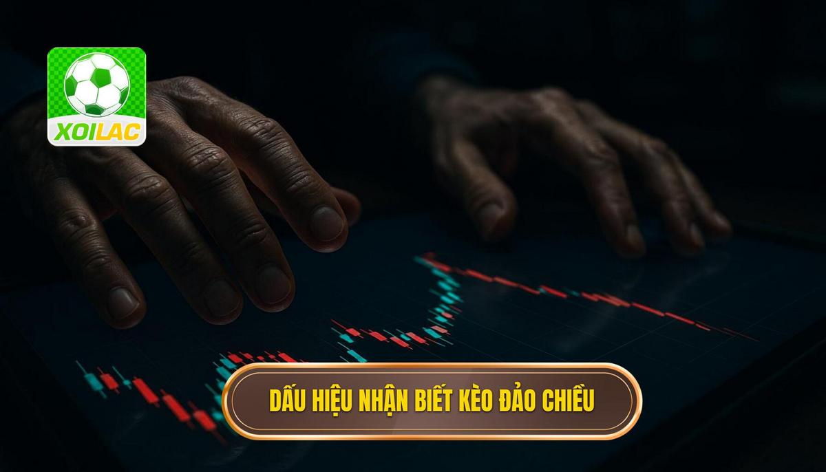 Các dấu hiệu nhận biết kèo đảo chiều từ góc nhìn chuyên gia