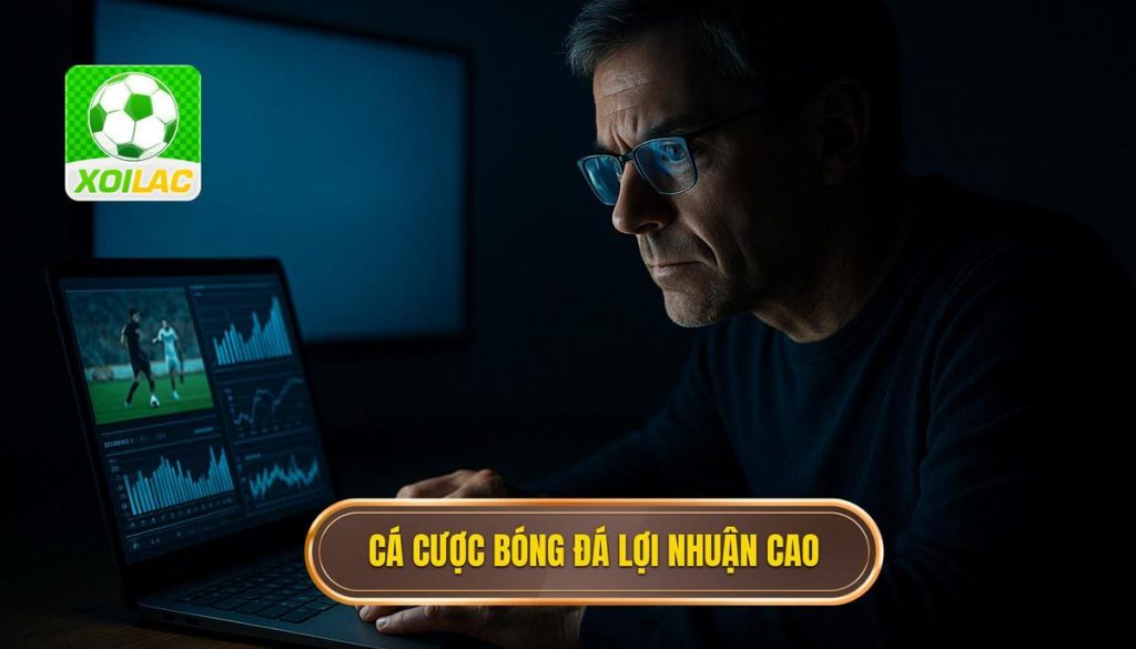thumb - cá cược bóng đá lợi nhuận cao
