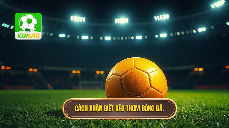 Thế nào là kèo thơm bóng đá tối nay?
