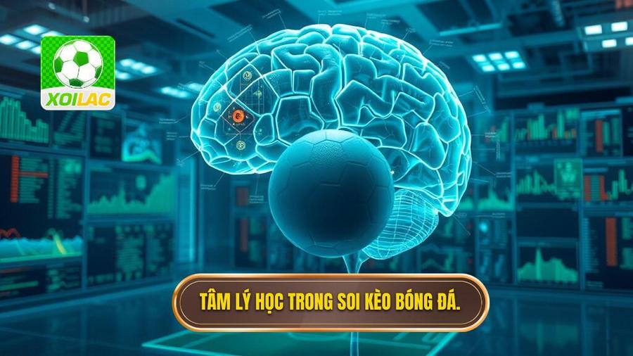 Phân tích đa chiều: Tâm lý học trong soi kèo bóng đá