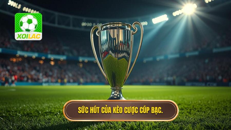 Tại sao Kèo cược đội giành cúp bạc lại hấp dẫn người chơi?