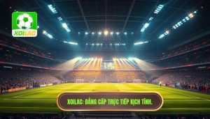 Trận đấu đang nóng lên từng phút: Sức hút mãnh liệt từ những cuộc đối đầu đỉnh cao