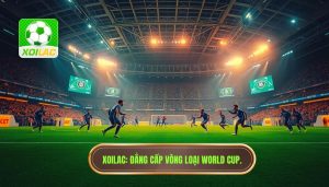 Trận Đấu Vòng Loại World Cup: Hành Trình Chông Gai Đến Ngày Hội Bóng Đá Lớn Nhất Hành Tinh