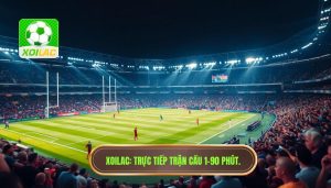Trận cầu đang đá phút 1–90: Nghệ thuật theo dõi và phân tích bóng đá trực tiếp